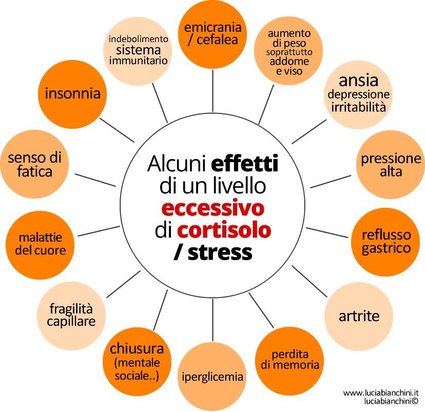 Gli effetti di un eccesso di cortisolo Cortisolo e stress