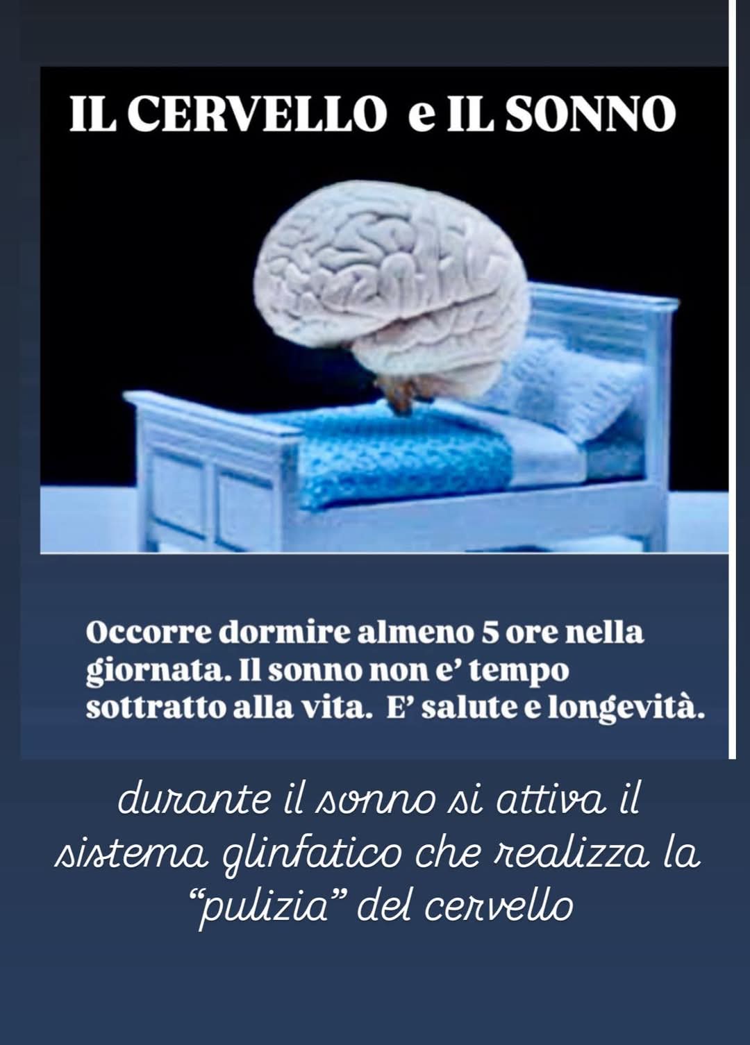 Il cervello ed il sonno