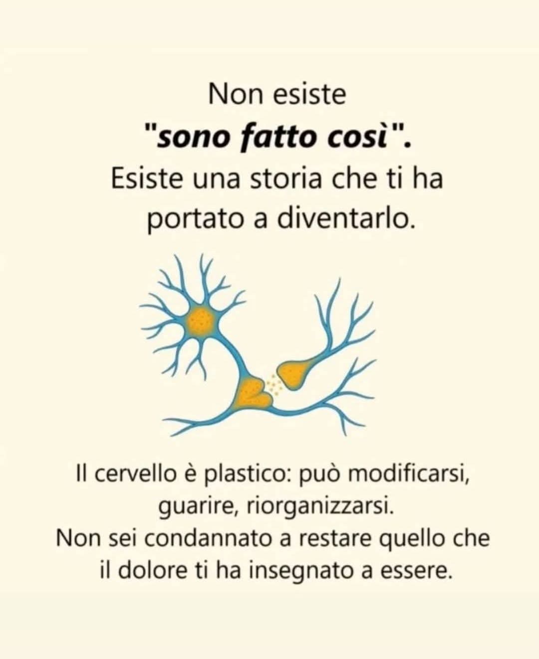 Psicotn-1107 Centro di psicologia e psicoterapia funzionale trentino - non sono fatto così