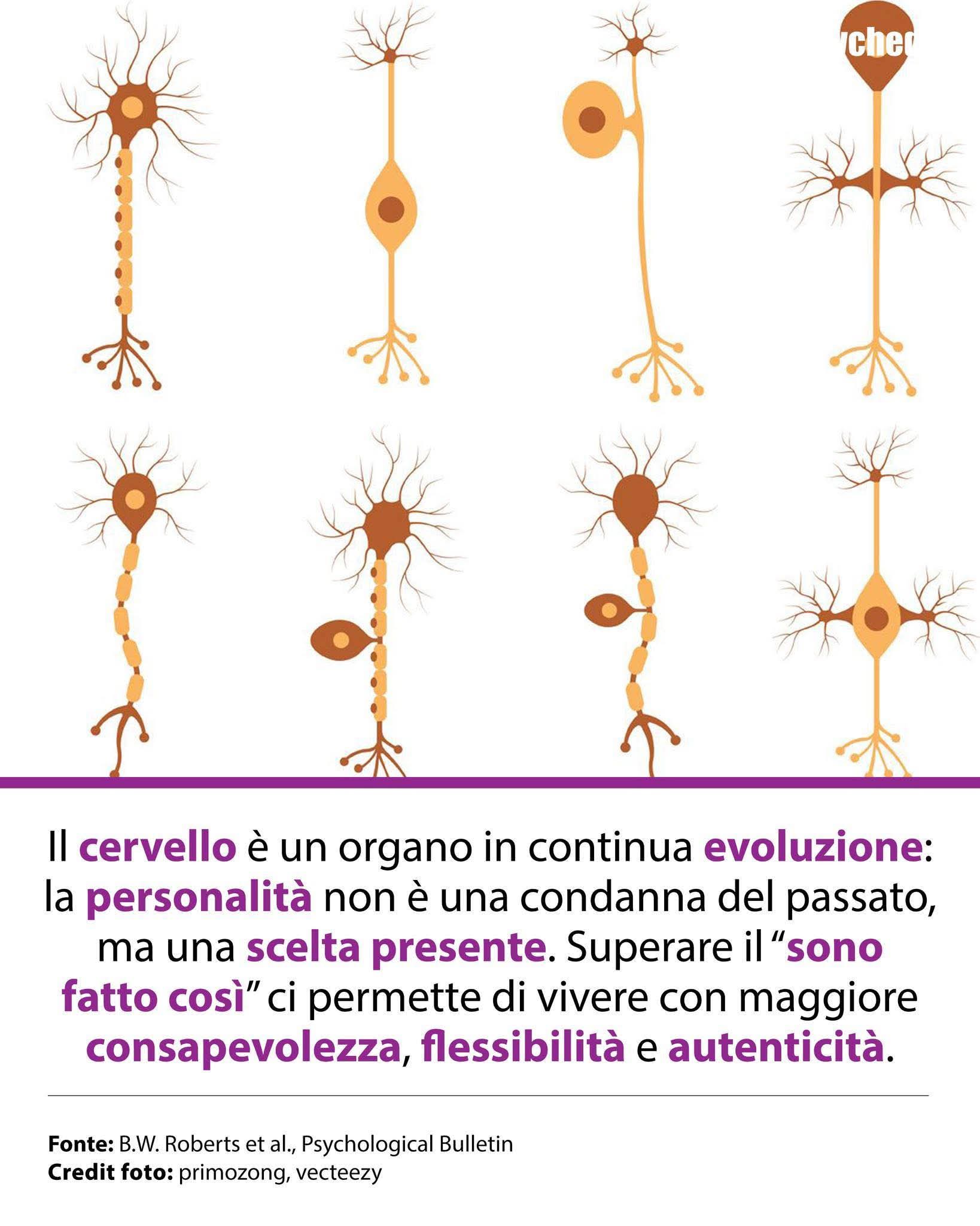 LA PLASTICITÀ DEL CERVELLO